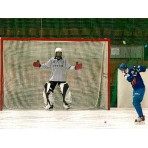 Сетка гашения для хоккея с мячом ds-3